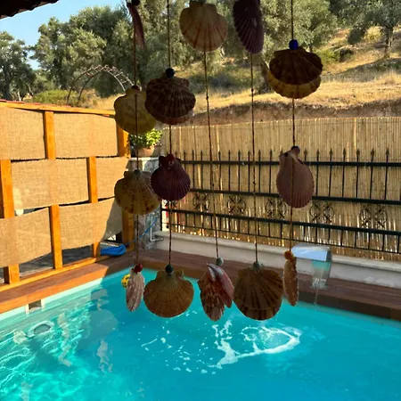 Milas-bodrum Oezel Havuzlu Triplex * Milas