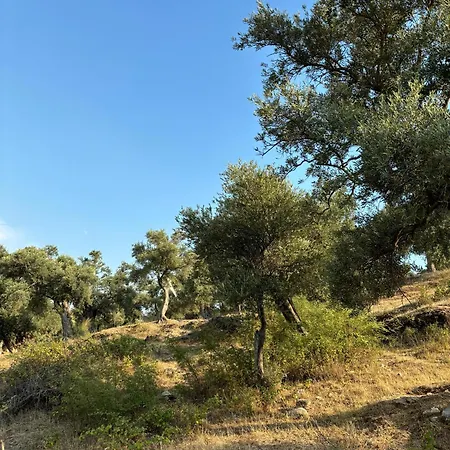 Milas-bodrum Oezel Havuzlu Triplex 빌라 Milas