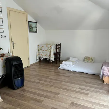 Milas-bodrum Oezel Havuzlu Triplex Villa