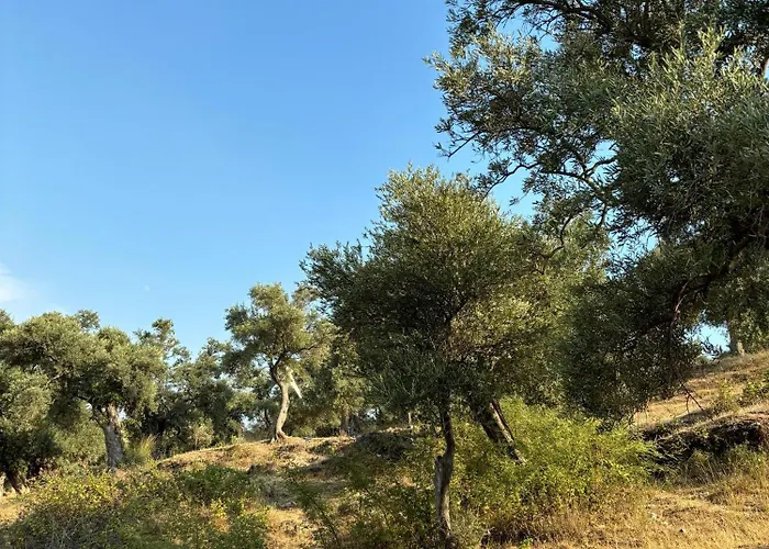 Milas-bodrum Oezel Havuzlu Triplex Villa Milas